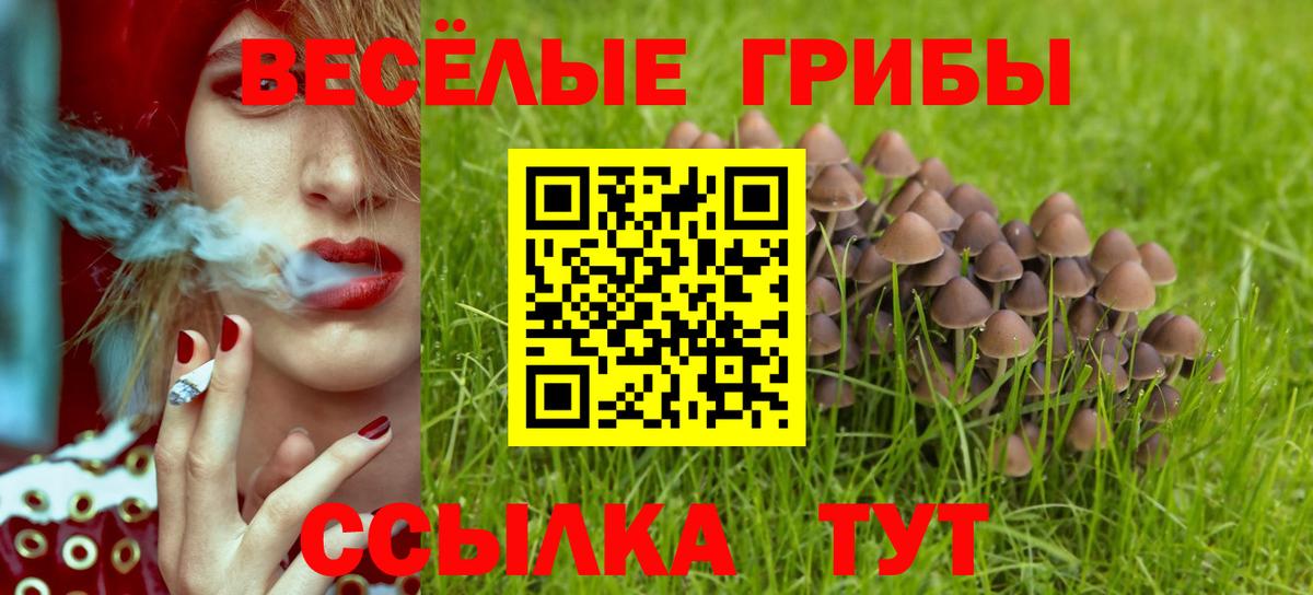 Донецк  Галлюциногенные грибы MAGIC MUSHROOMS  Вход с VPN 