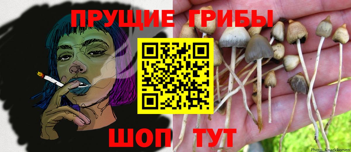Псилоцибиновые грибы мухоморы Донецк